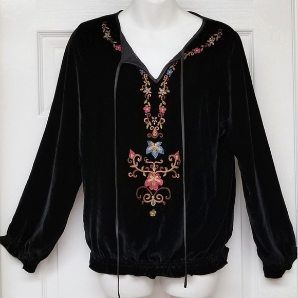 Embroidered Velvet Longsleeve Top - Picture 1 of 11